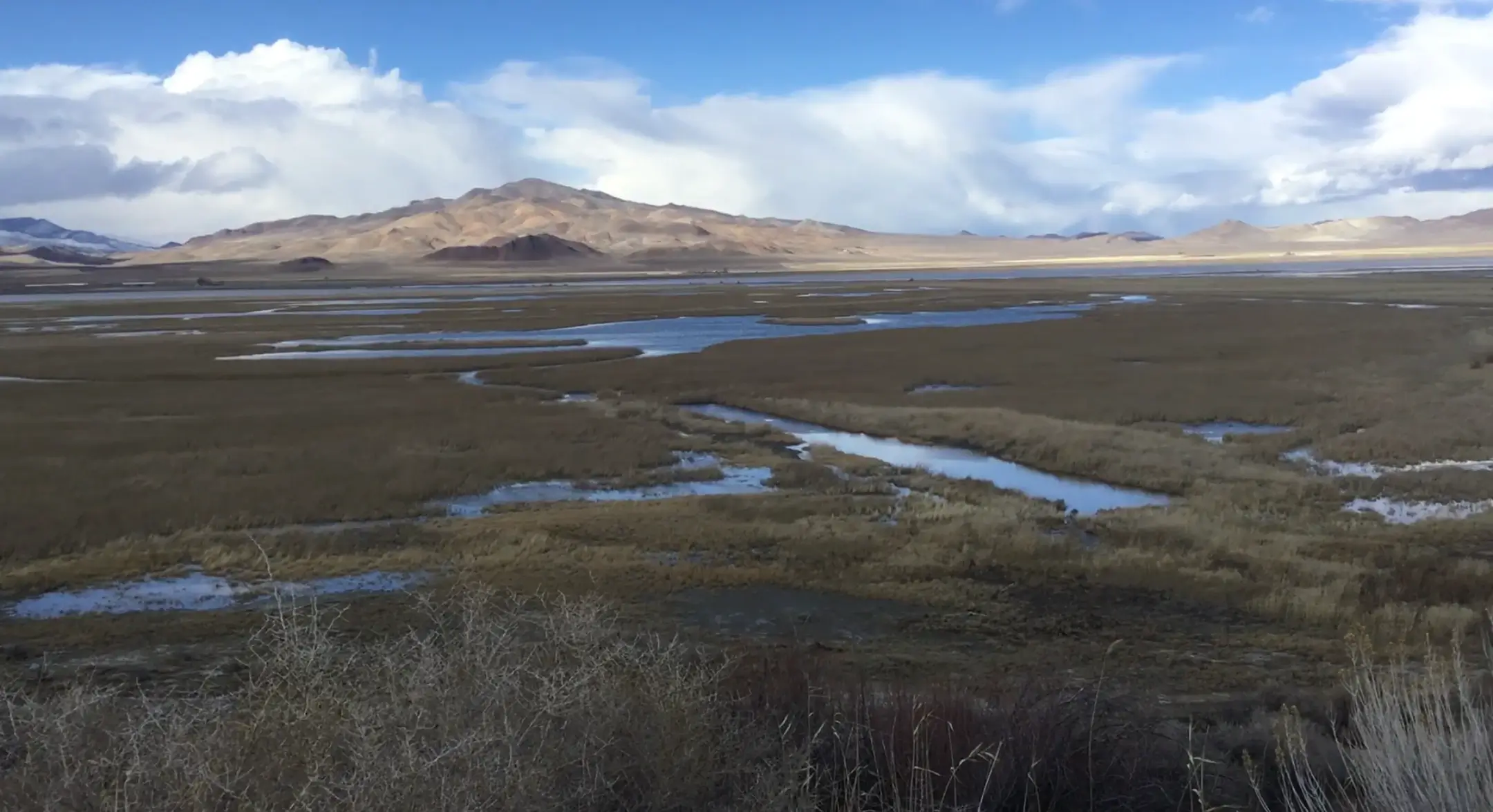 Honker Ranch Landscape
